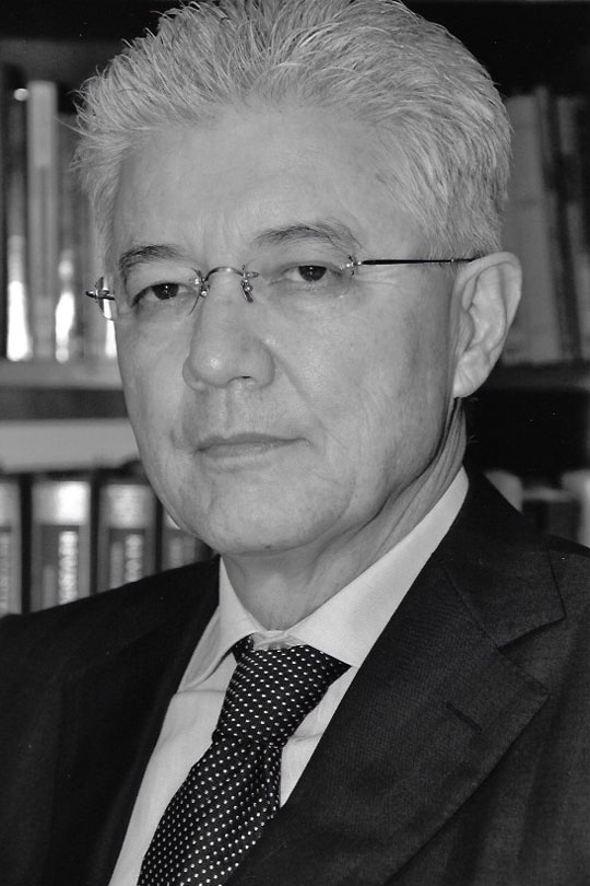 Renato Alberto Nielsen Kanayama